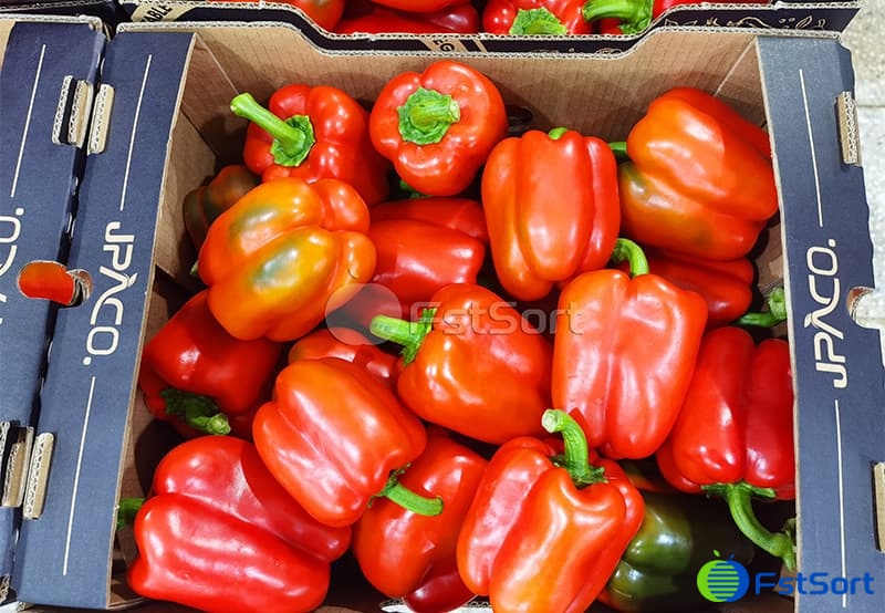 images/1702628003426bell pepper grading machines.jpg